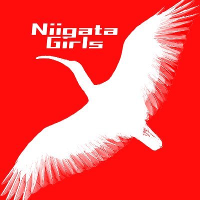 Niigata Girls (NGT48 GIFs)