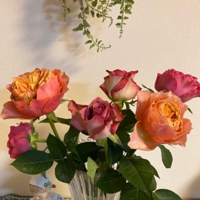 aqua_uminomizu's profile picture. ふわり舞い降りたコトノハを そっとつぶやく🌱星のたね観察日記🌱