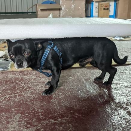 OleksiiHusak's profile picture. те ото як його