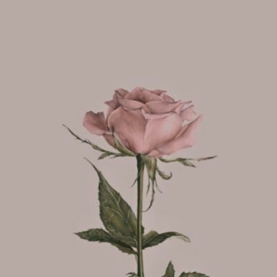 kodokuescape's profile picture. 元エホバの証人二世 鞭世代 多種多様な経験の持ち主 アラフィフバツイチ 孤独な日々 勝手にフォローしてすみません💦鬱病 パニック障害 ACです。仕事→福祉関係に就けたら良いなと…