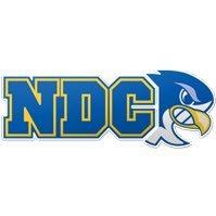 Notre Dame College Baseball