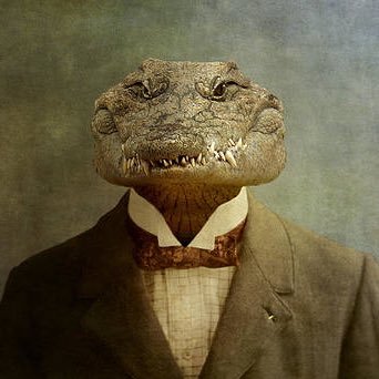 funktownflex's profile picture. pm @ Raytheon. University of Austin '24. Muslim.