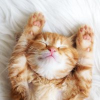 ゆう (@eefq74oj2ktjsbd) 's Twitter Profile