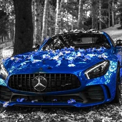 Edouard_phoenix's profile picture. 