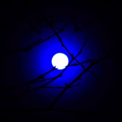 BDSM専用アカウント。快楽責めメインで調教してます。女性に合わせてSプレイ、Mプレイします。心身共に健全な成人女性のプレイ相談(高校生不可)はDMまで。 碧月(あおつき)と読みます。ひな女王様からお名前を頂きました。