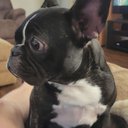 Ray Boyce - @RayBoyce15 - Twitter