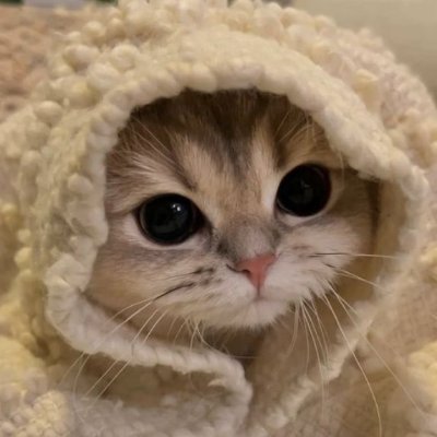 mooonilyさんのプロフィール画像