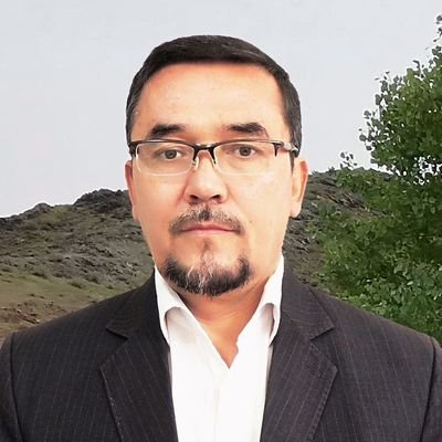 دکتری روابط بینالملل. پژوهشگر و استاد دانشگاه
