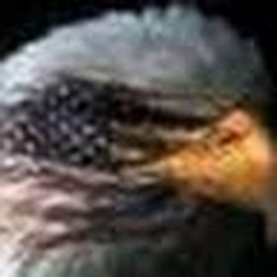 tainsko's profile picture. 