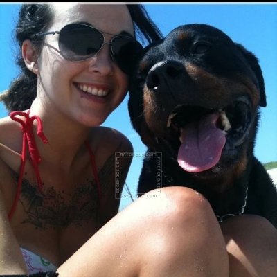 Art0fZ00's profile picture. I love dogs 🐕😍