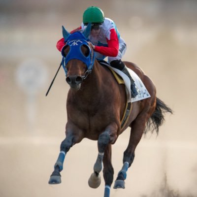 Mf0ehN2WDyZJN2Z's profile picture. 皆さんの予想を参考に競馬勉強中