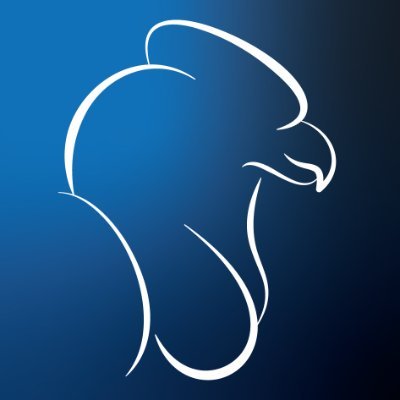 VulturSec's profile picture. VulturSec mission is to add security to software solutions in a fast-paced industry, where there is no time to rest.