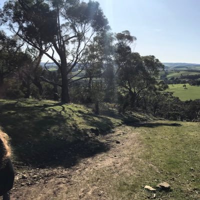 Chris29082587's profile picture. 