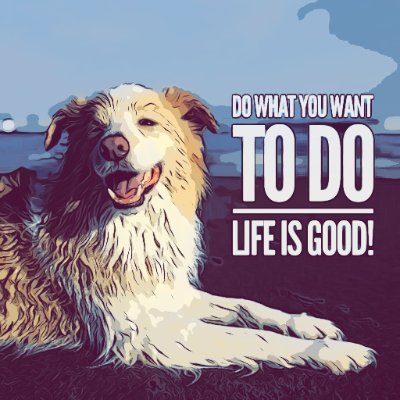 CliffCannel's profile picture. 困ったときのパソコン専門店｜カフェのあるパソコン屋｜パソコンの困ったをなくしたい ▶#中古パソコン パソコンをどこで買っていいかわからない人の味方 オンラインサポートで安心 仕事や会計 補助金申請のサポート♥WindowsよりLinuxが大好き♥Cliff's Sandwich.併設♥犬OKのお店♥キューバサンド♥