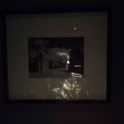 dianlostcontrol's profile picture. Una supernova entre todas las estrellas... 🌟