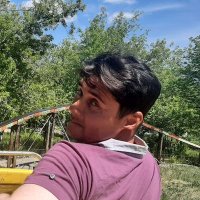 Lev (@levtikhomirov1) 's Twitter Profile