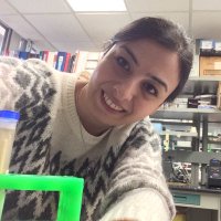 fereshtehJazi (@fereshte986) 's Twitter Profile