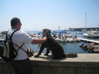 ceesrens's profile picture. Main drive: connecting business wishes and technical possibilities.
Overdenking:
De kunst van het spreken is begrepen te worden... (Confucius)