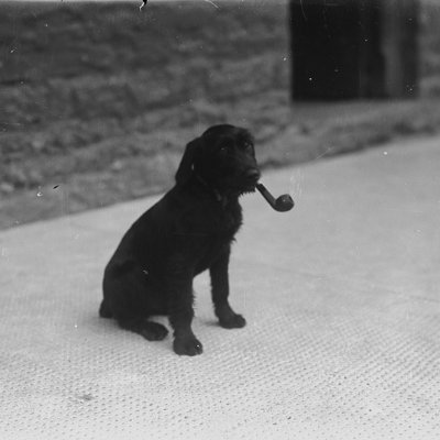 Secondo Ottone Profile