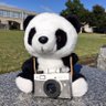 FpuPhotoclub's profile picture. 福井県立大学(FPU)写真部です！毎週水曜日に活動しています！学年関係無く興味ある方はDMで気軽に連絡くださいm(__)m #春からfpu #春から福井県立大学 ⇓質問箱⇓ 学生生活・部活等気軽にどうぞ https://t.co/3gJDqTaPwW