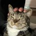 babs (@sashathecat69) Twitter profile photo babs (@sashathecat69) Twitter profile photo