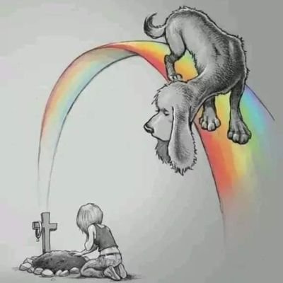 rudra_paliwal8's profile picture. student 📙💯
हिन्दू।।🚩