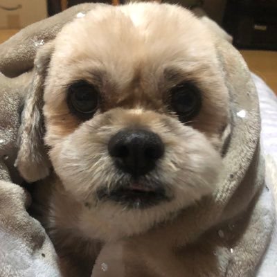 dlvb0's profile picture. 