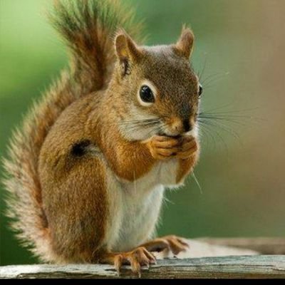 saam4891's profile picture. https://t.co/WJrNyyCHeK
                        حال که پرسیدنی نیست،، فهمیدنیه...