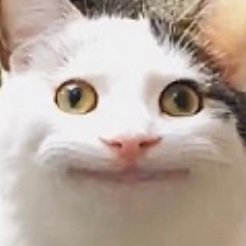 nJoBXA6mhAyPIAp's profile picture. 海外に住んでいますが、日本のYouTubeや番組ばかり見ています。