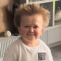 Andy (@andy_5cr) 's Twitter Profile