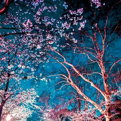 J7bkKoszSp9JCxn's profile picture. 26歳、178cm70kg 素人の女の子とだけ会ってます。横浜