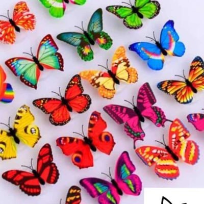 Daniell31818454's profile picture. 