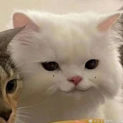 ◆さんのプロフィール画像