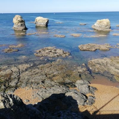 grosmauri's profile picture. Quel désastre ! Gauche de malheur ! On marche sur la tête .  france R !🇲🇫 ✝️.