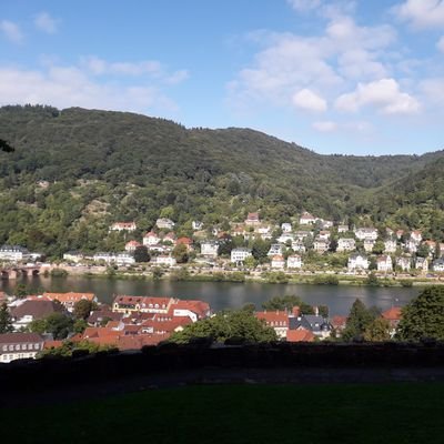 Okechuk57115560's profile picture. 