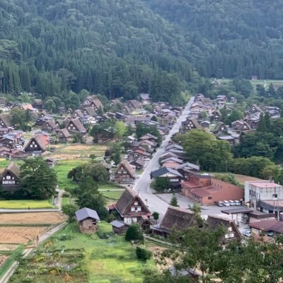 kamineko1040's profile picture. 