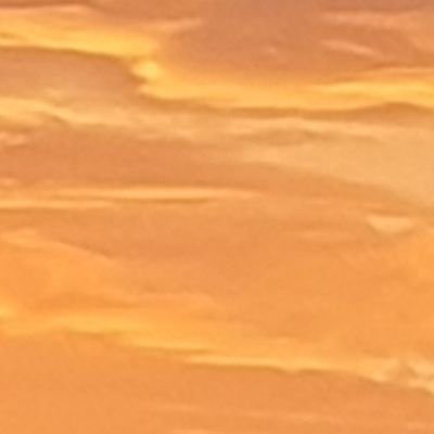 ahhhomosexualol's profile picture. He/they - 19 - bi transman