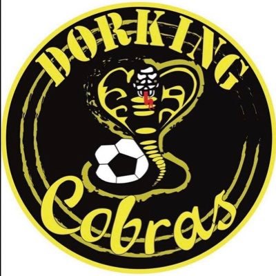 cobras_dorking's profile picture. club sponsor @maobuilding