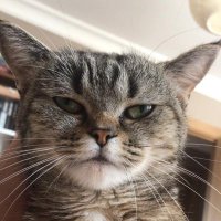 portik (@underrtaken) Twitter profile photo
