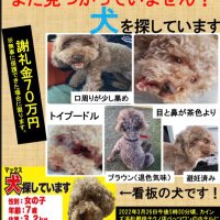 2024.2.5お知らせがあります。(マックス飼主) (@xxxzerostagexxx) 's Twitter Profile Photo 2024.2.5お知らせがあります。(マックス飼主) (@xxxzerostagexxx) 's Twitter Profile Photo