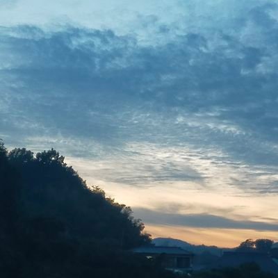 Nozora07191's profile picture. 