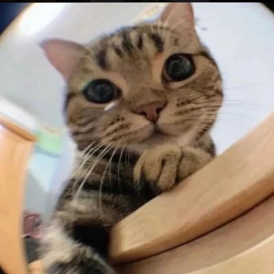 brrwnb's profile picture. 