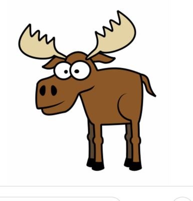 Moose_Aust Profile Picture