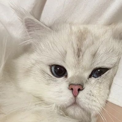 ansiral_'s profile picture. 