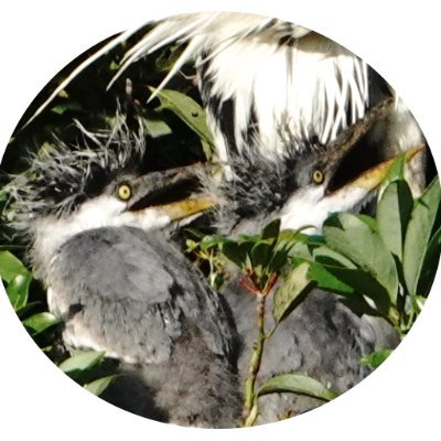 ponta(サギ師) (@ponta70718103) / Posts / X