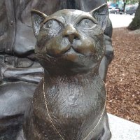 Northeastern University, Psychology & the Other (@pato_nu) 's Twitter Profile