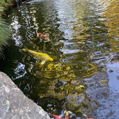 qkq_97's profile picture. 97年🙃