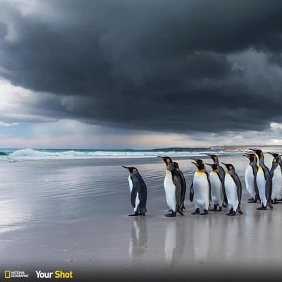 iniyanyan's profile picture. 