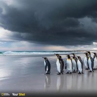 iniyan (@iniyanyan) 's Twitter Profile Photo