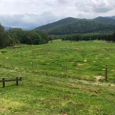 kenjisakuma711's profile picture. まあぼちぼちやってきます。